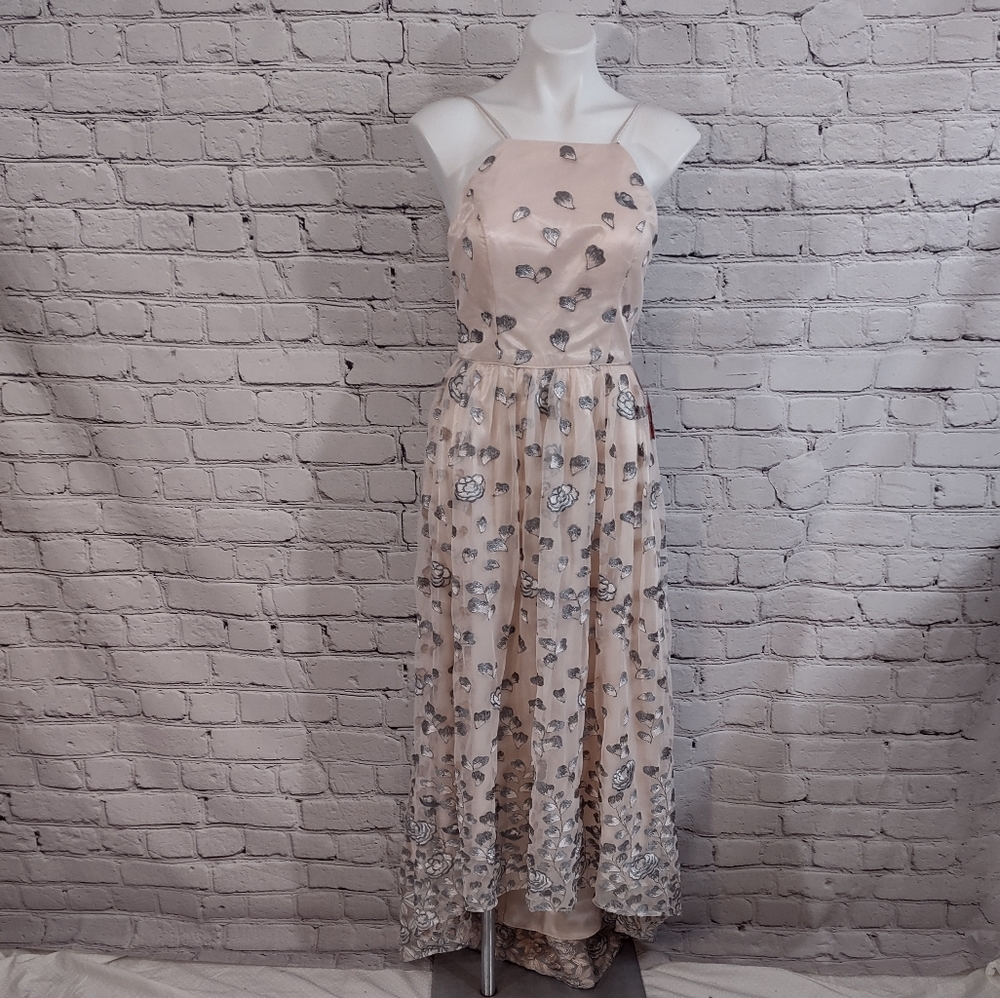 Gianni Bini Pale Pink formal dress With Gray Embroidered Flowers NWT